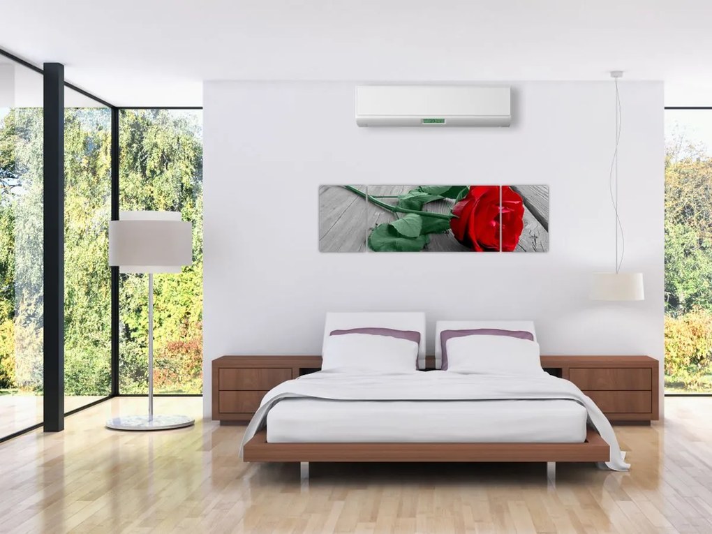 Obraz - Czerwona róża z zieloną łodygą (170x50 cm)