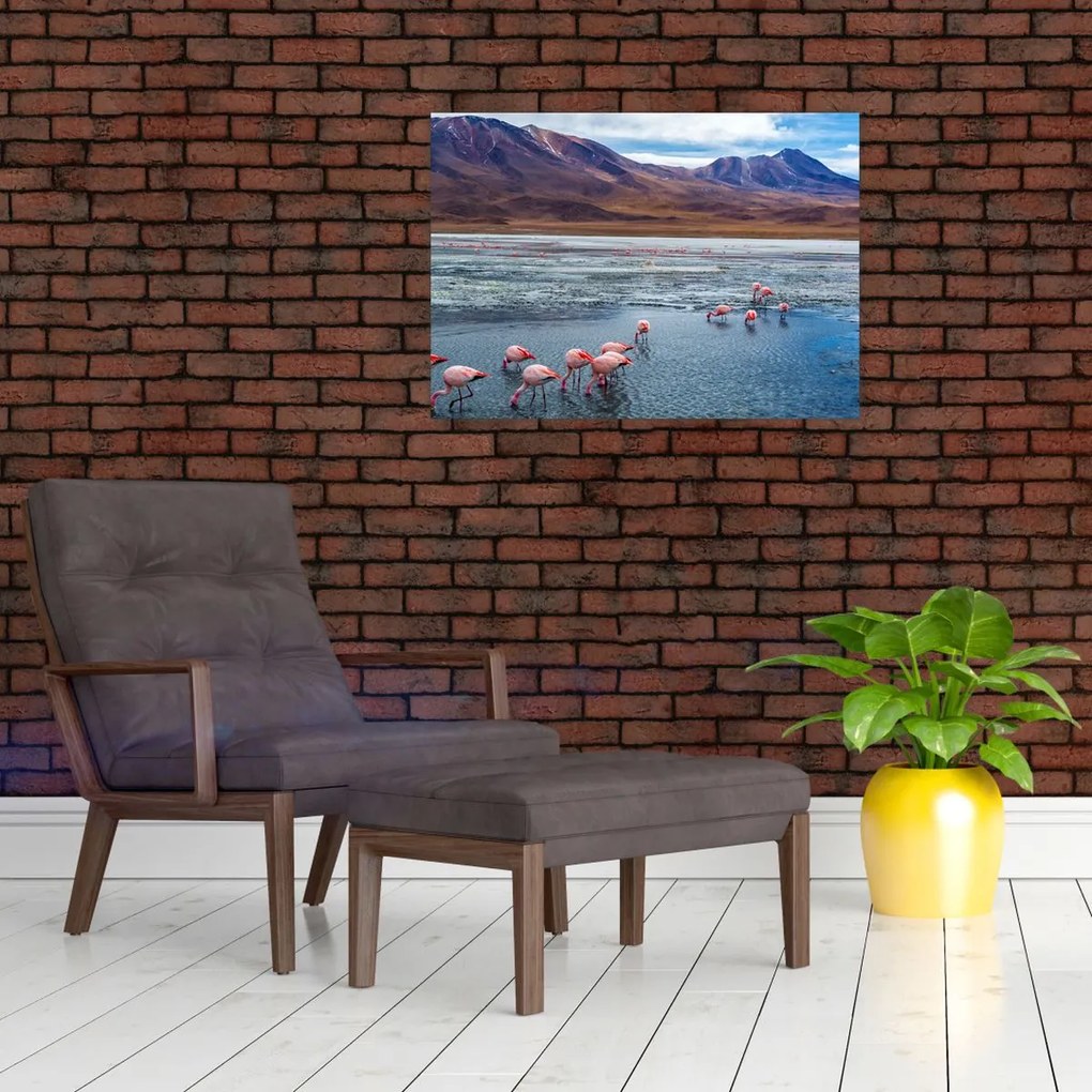 Obraz - Flamingi (70x50 cm)