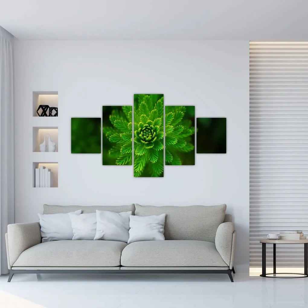 Obraz drzewa iglastego (125x70 cm)