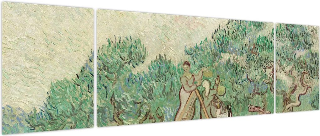 Obraz - Vincent van Gogh, The Olive Orchard, reprodukcje (170x50 cm)