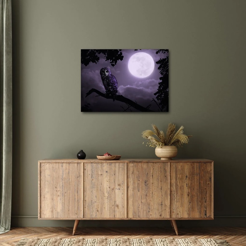 Obraz - Nocna sowa, fioletowy (70x50 cm)