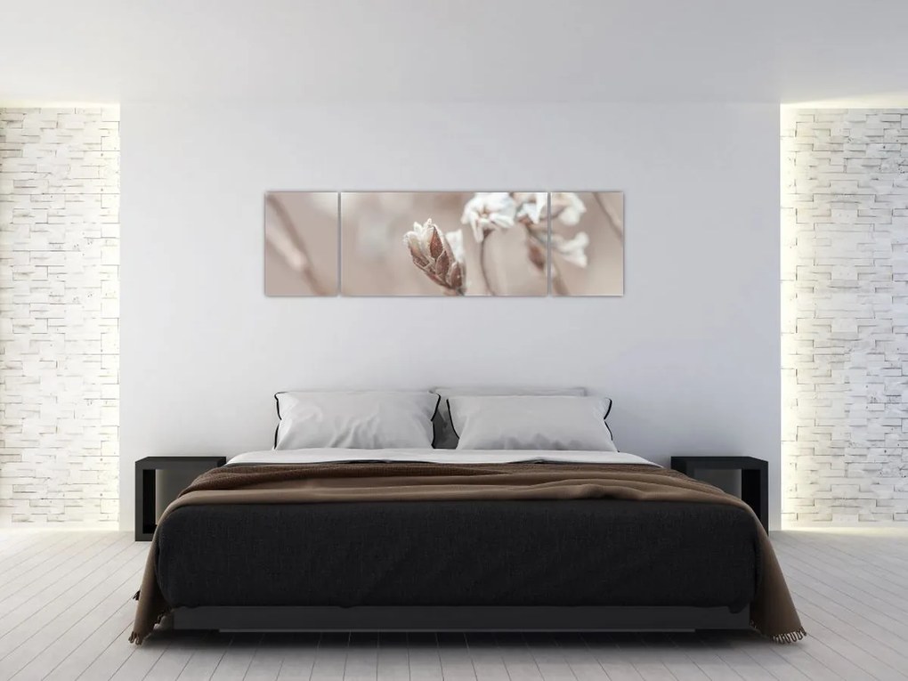 Obraz - Szczegół gałęzi (170x50 cm)