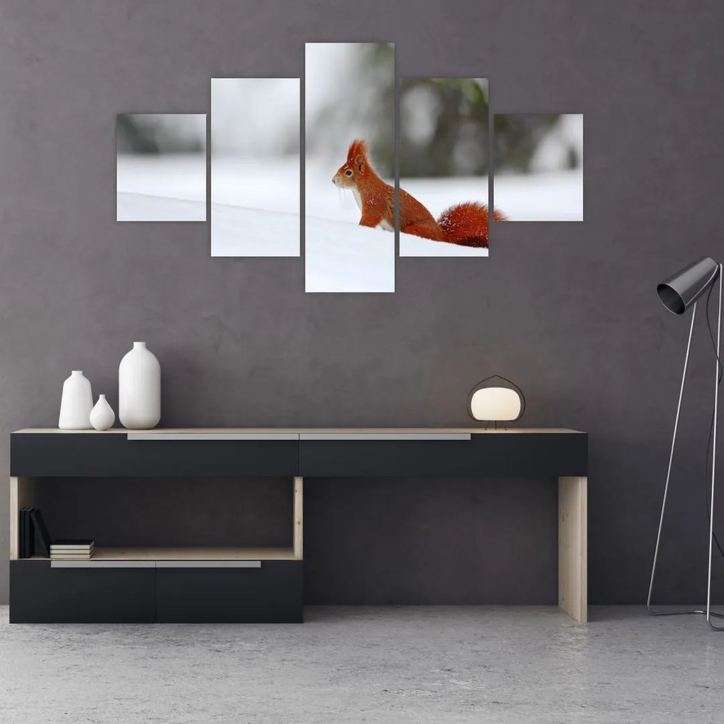 Obraz wiewiórki (125x70 cm)