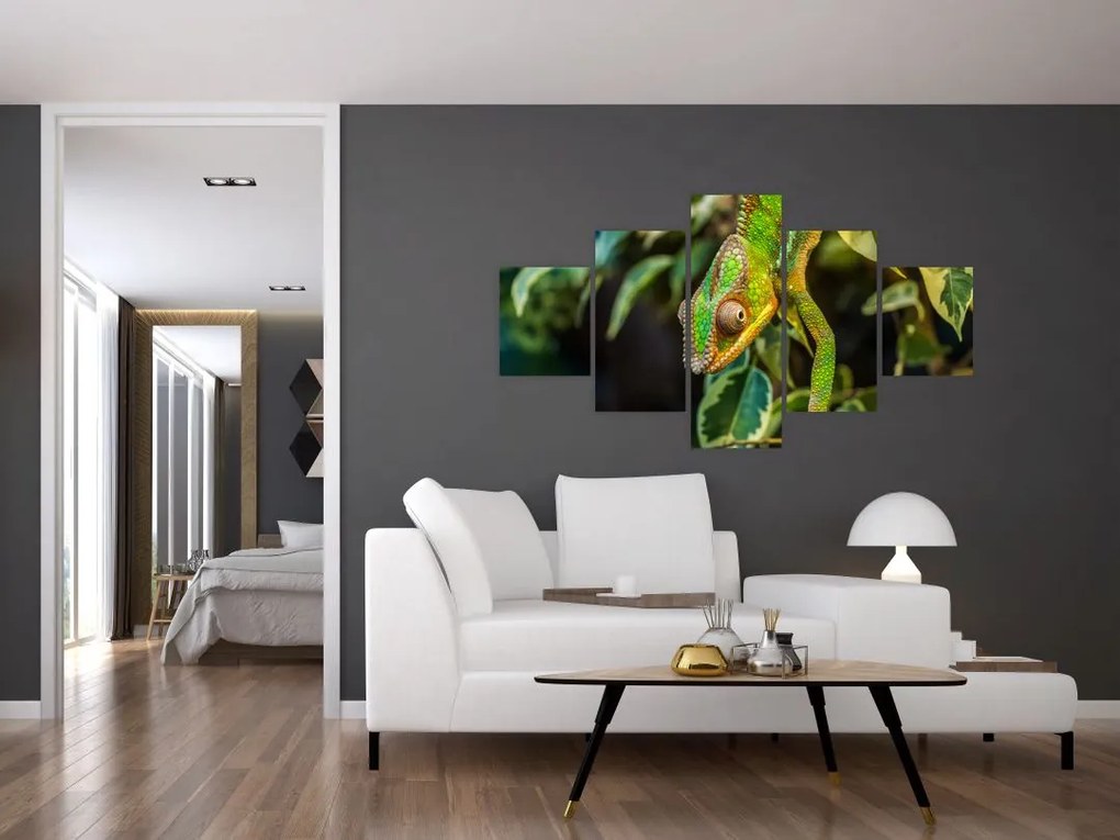 Obraz kameleona (125x70 cm)