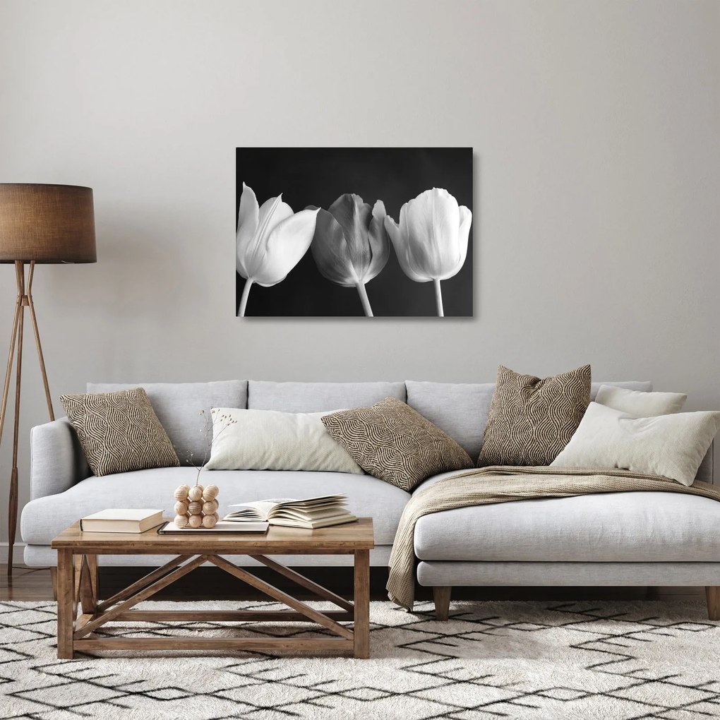 Obraz na szkle - Czarno - białe kwiaty tulipanów (70x50 cm)