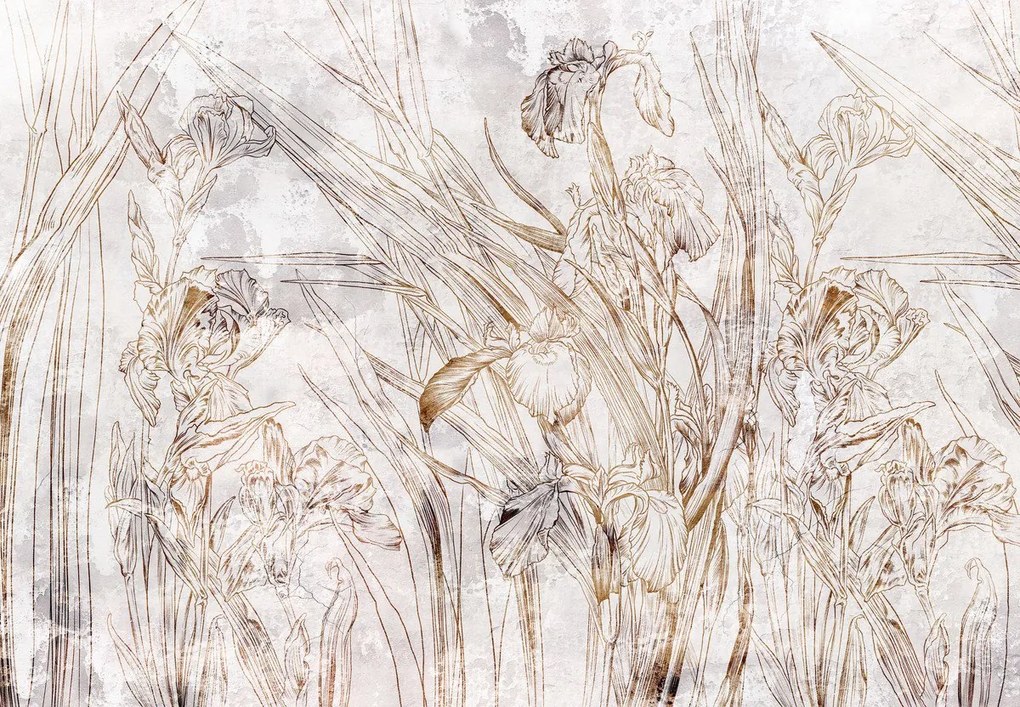 Fototapeta - Irys (196x136 cm)