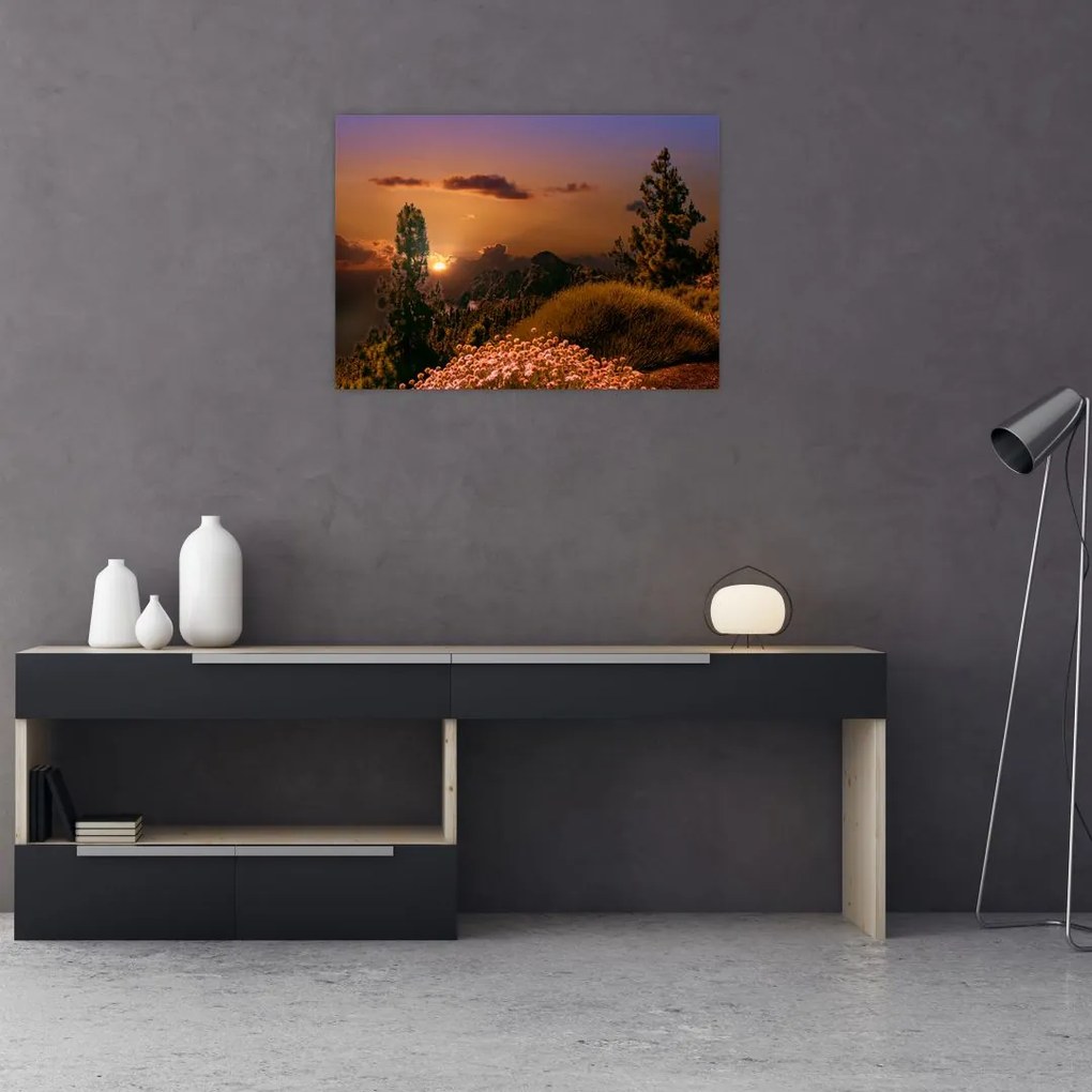 Obraz na szkle - natura z zachodem słońca (70x50 cm)