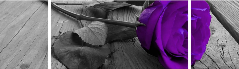 Obraz - Fioletowa róża z zieloną łodygą (170x50 cm)