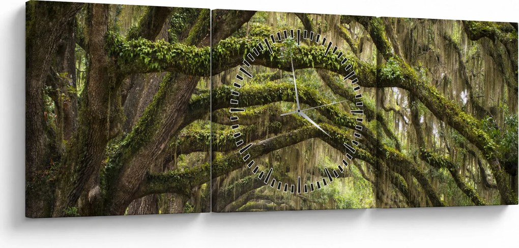 Obraz - Oaks Avenue, Charleston, Karolina Południowa, USA (z zegarem) (90x30 cm)