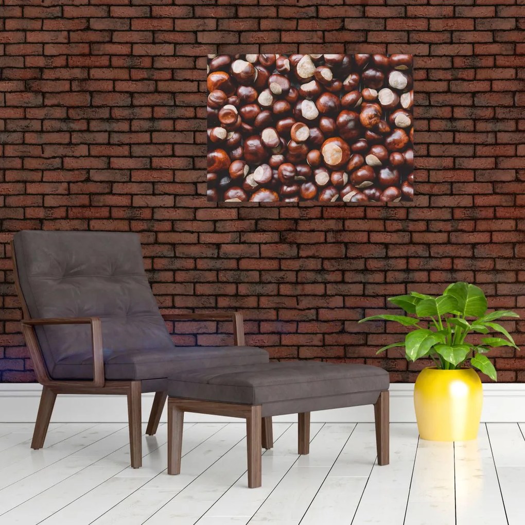 Obraz - Dojrzałe kasztany (70x50 cm)