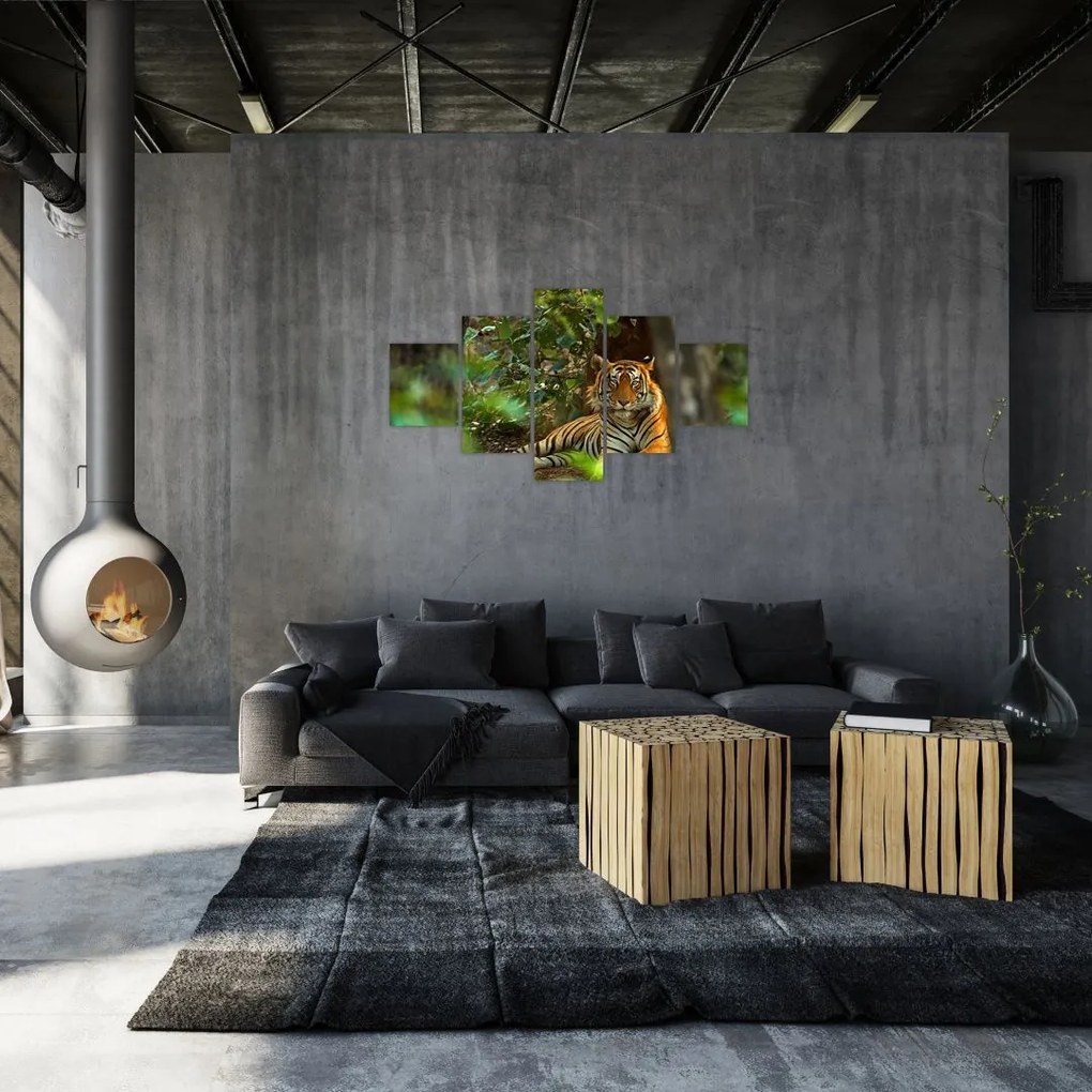 Obraz odpoczywającego tygrysa (125x70 cm)