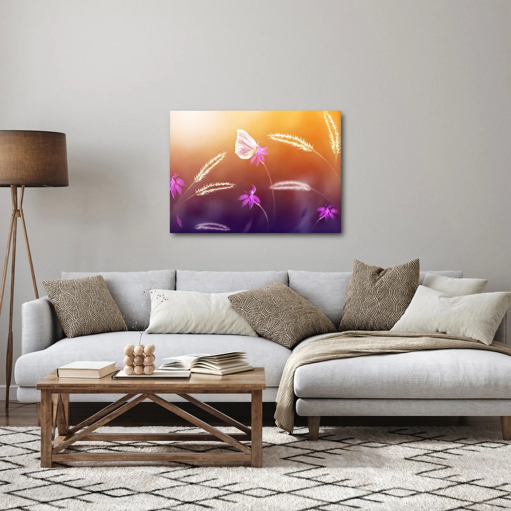 Obraz - Różowy motyl (70x50 cm)