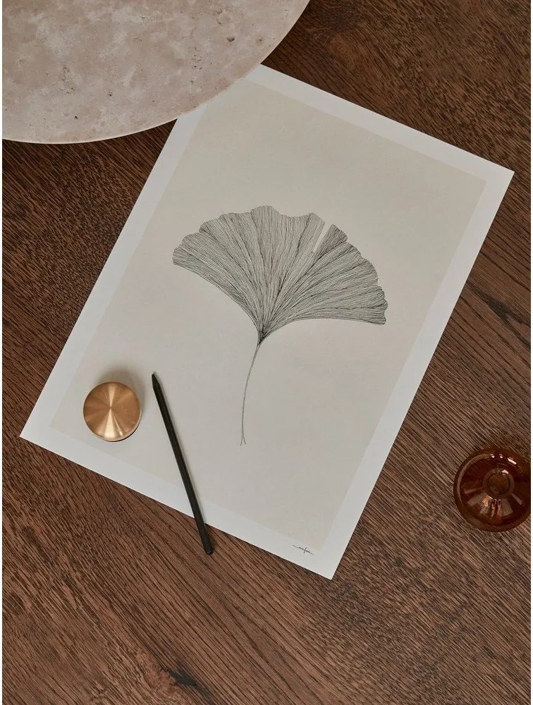 Plakat 50x70 cm Ginkgo Leaf – Ana Frois – The Poster Club