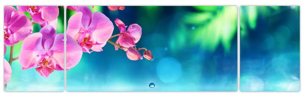 Obraz - Orchidea (170x50 cm)