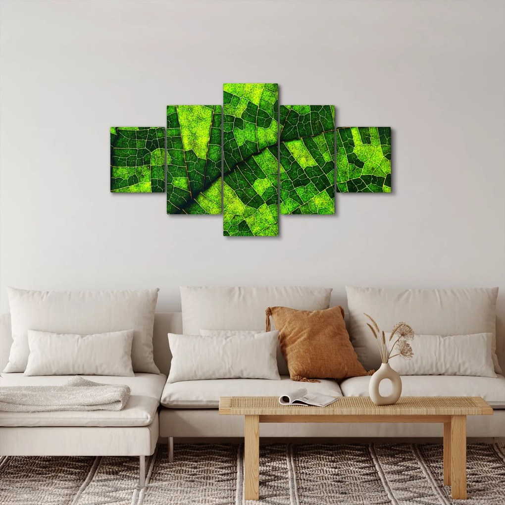 Obraz - Detal liścia (125x70 cm)
