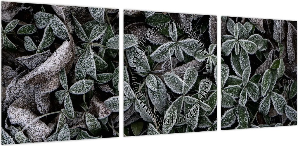 Obraz - Zamrożone rośliny (z zegarem) (90x30 cm)
