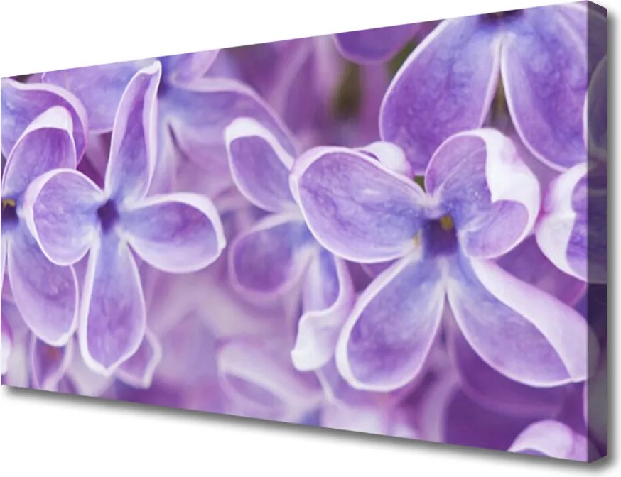 Obraz na płótnie Harmonijny Rozkwit Natury