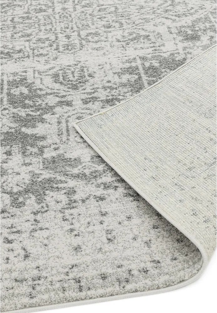 Szary dywan 200x290 cm Nova – Asiatic Carpets
