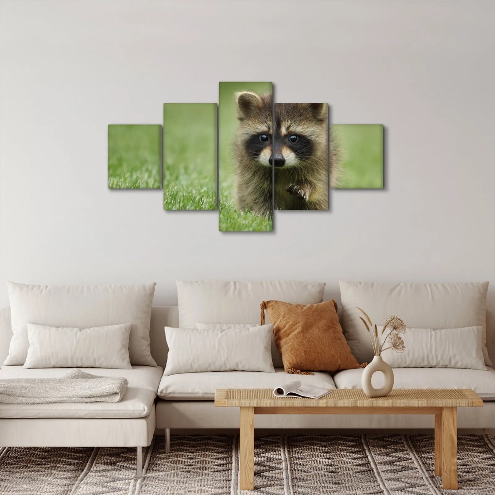 Obraz szopa pracza (125x70 cm)