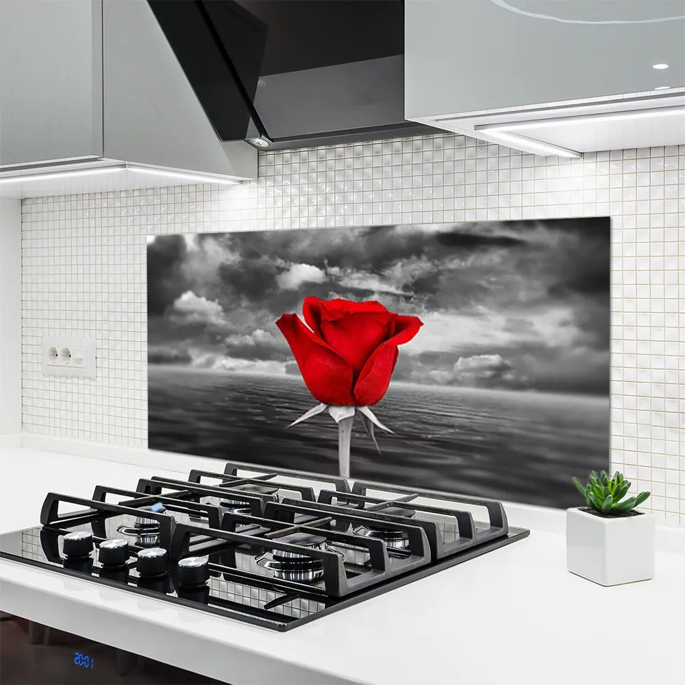 Panel Kuchenny Dzika Róża Nad Brzegiem Morza