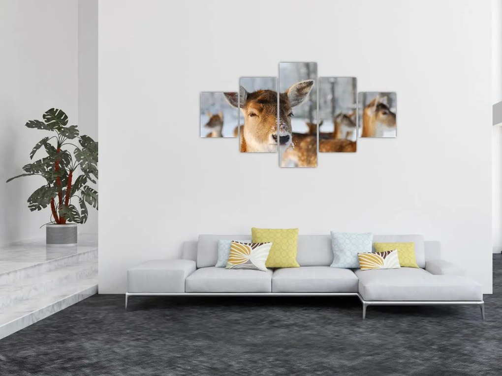 Obraz - Jelonki (125x70 cm)
