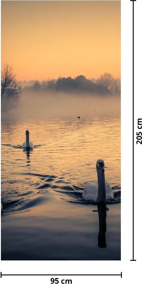 Fototapeta na drzwi - Łabędzie na wodzie we mgle (95x205cm)