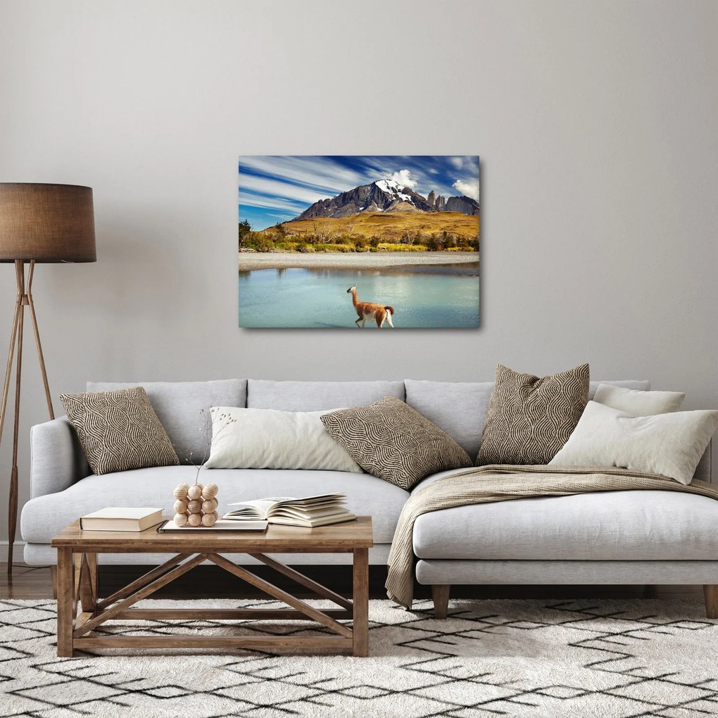 Obraz - Park Narodowy Torres del Paine (70x50 cm)