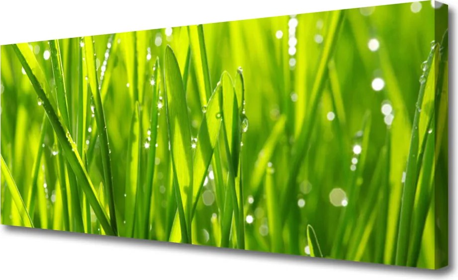 Obraz canvas Naturalny Urok Trawy