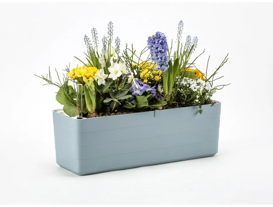 Plastia Skrzynka samonawadniająca Berberis 80, szaro-niebieski + biały, 80 cm