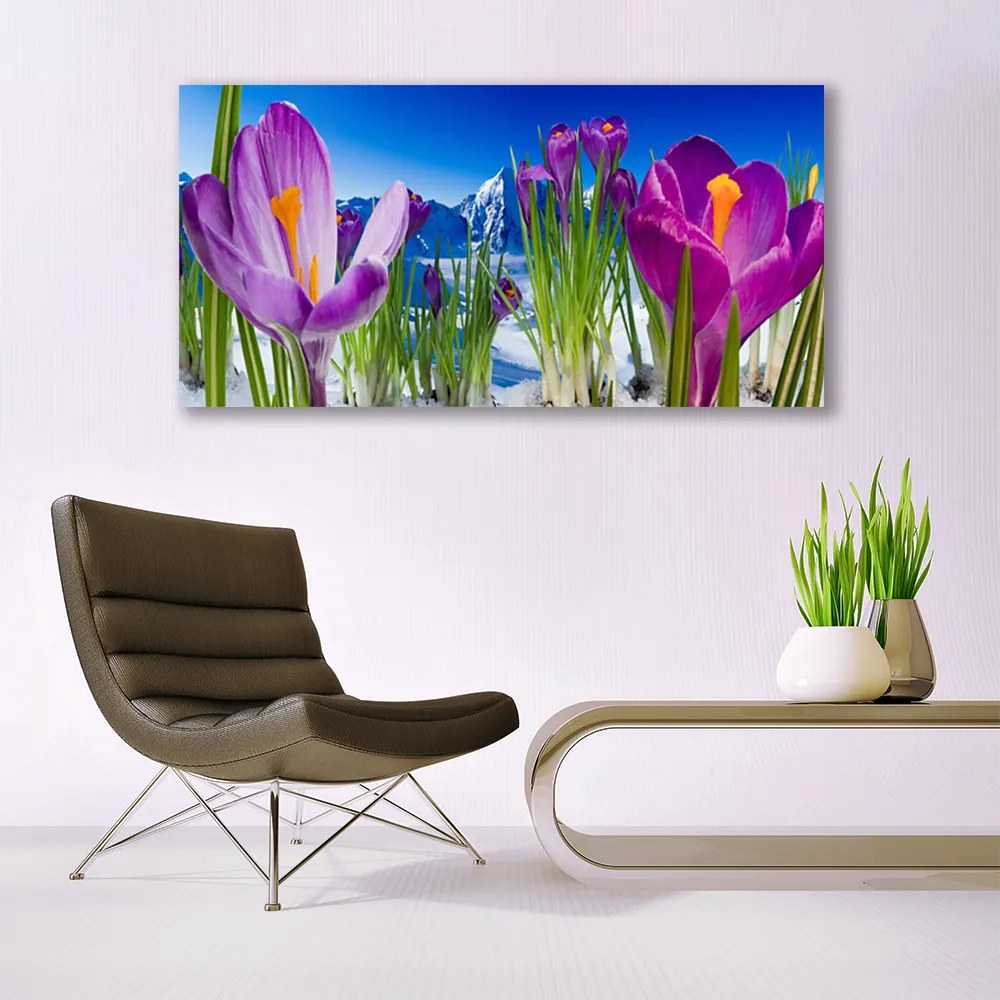 Fotoobraz na płótnie Świeżość Kwiatów Polnych