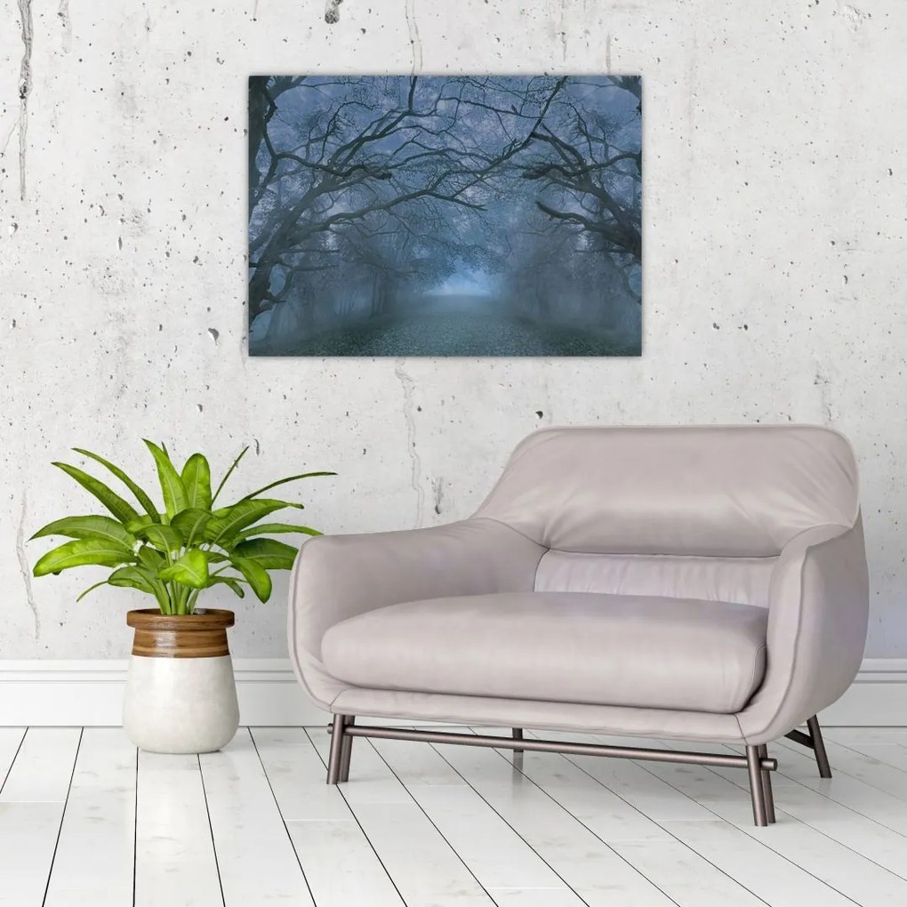 Obraz na szkle lasu we mgle (70x50 cm)
