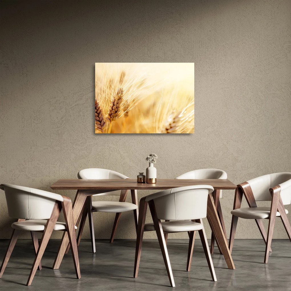 Obraz na szkle - szczegóły ziarna (70x50 cm)