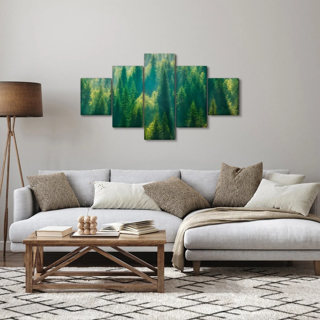 Obraz - Las sosnowy (125x70 cm)