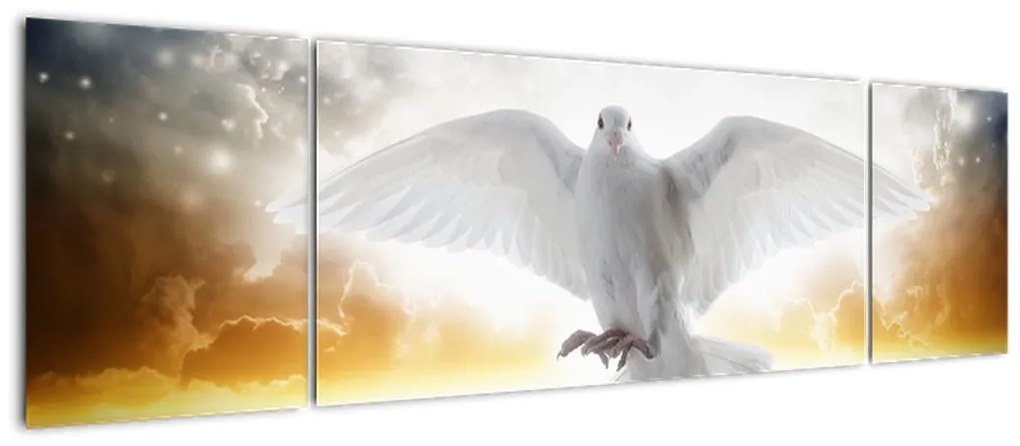Obraz gołębicy (170x50 cm)