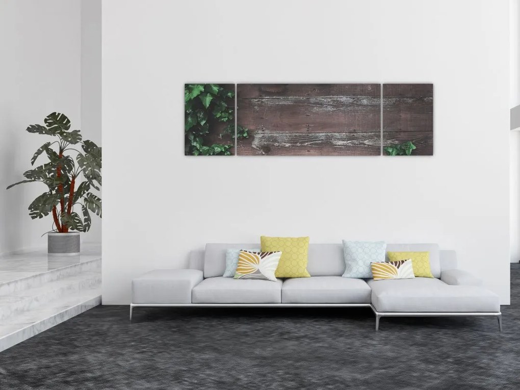 Obraz - Bluszcz (170x50 cm)
