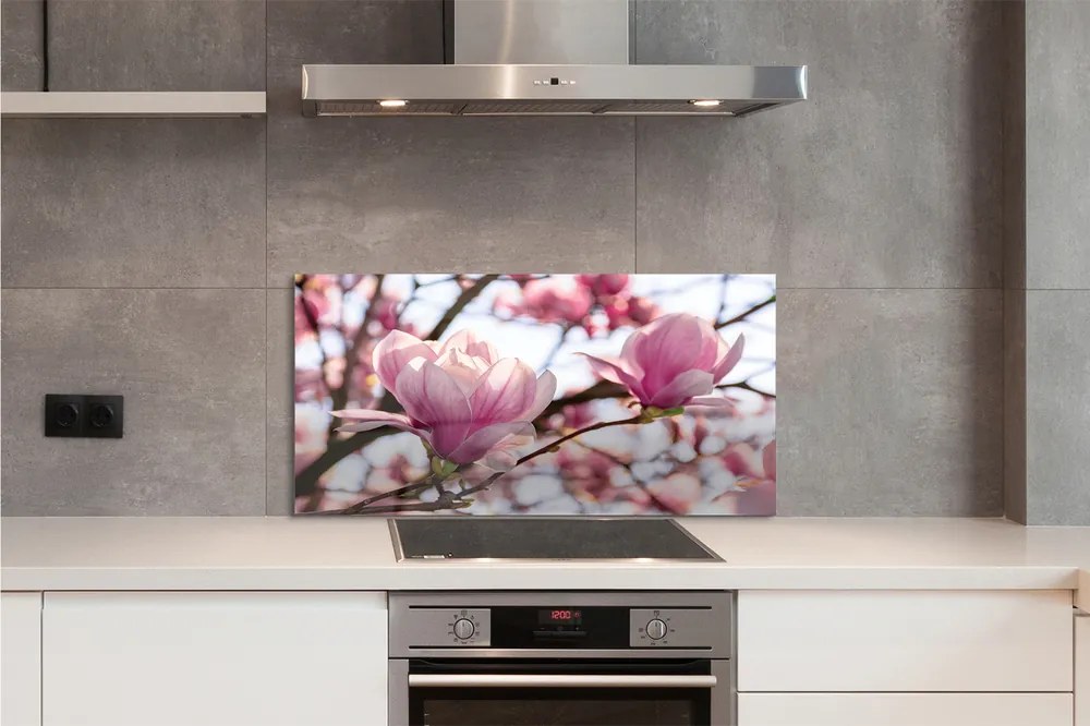 Panel nad Blat Kuchenny Magnolie w Sercu Parku