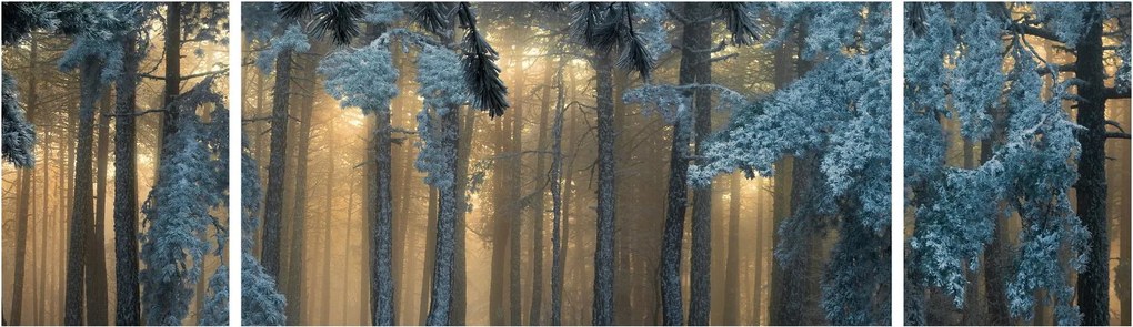 Obraz zaśnieżonego lasu (170x50 cm)