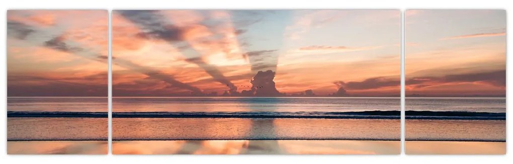 Obraz promieni słonecznych nad plażą Dayton (170x50 cm)