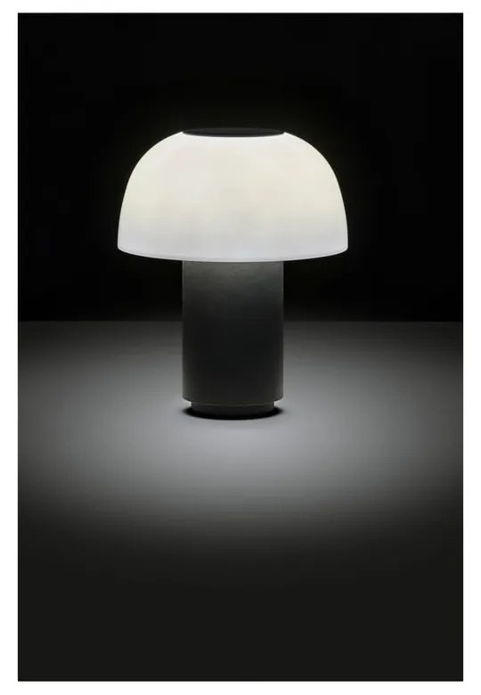 Czarna aluminiowa lampa stołowa LED ze ściemniaczem (wysokość 22 cm) Harvest – Zone