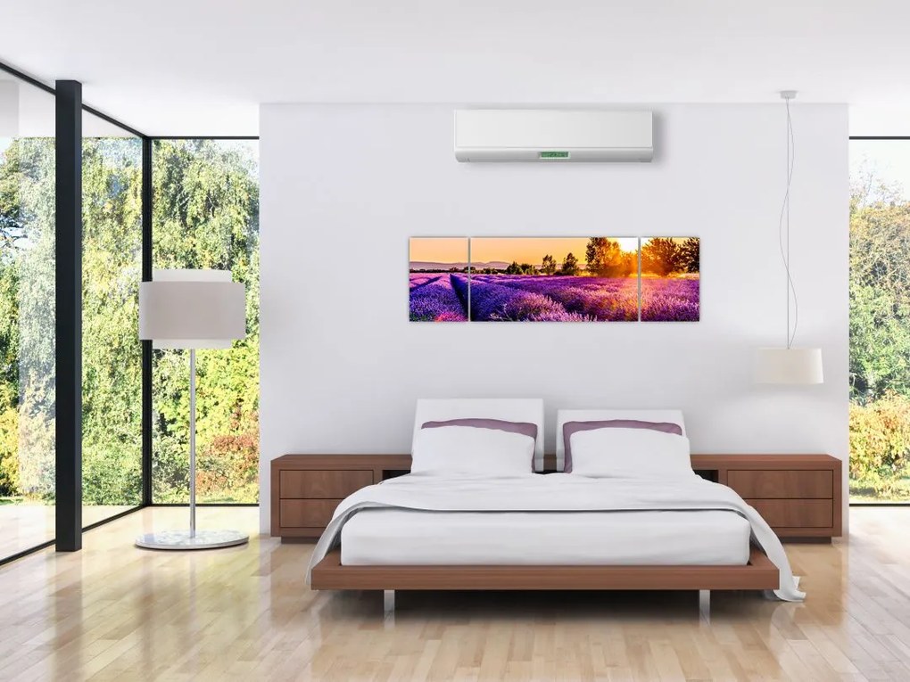 Obraz lawendowego pola (170x50 cm)