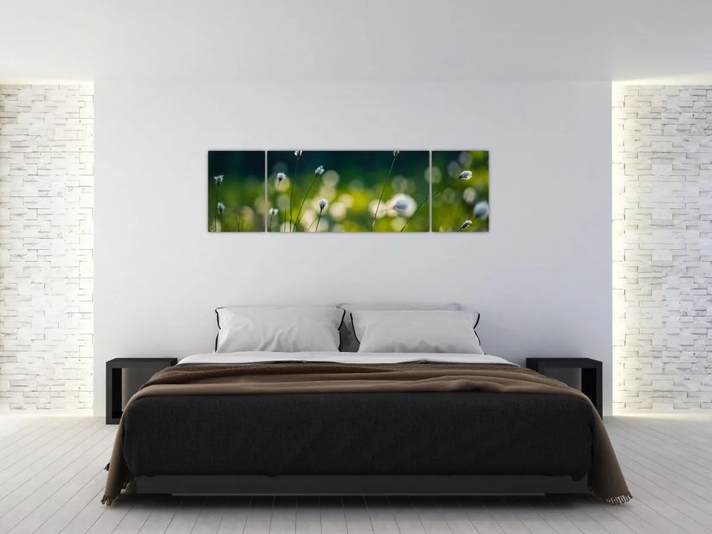 Obraz - Trawa (170x50 cm)