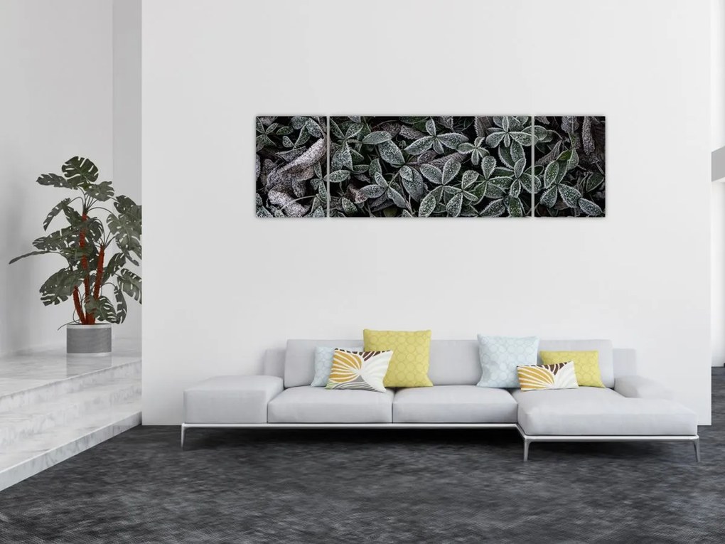 Obraz - Zamrożone rośliny (170x50 cm)