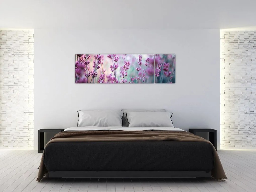 Obraz - Lawenda (170x50 cm)