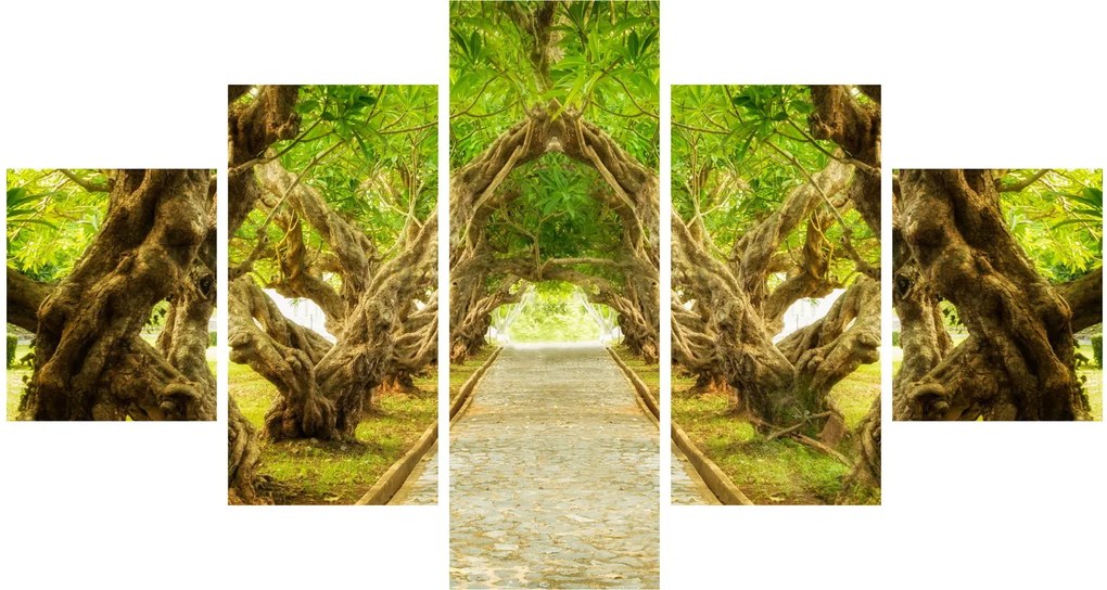 Obraz - Żywy tunel plumerii (125x70 cm)