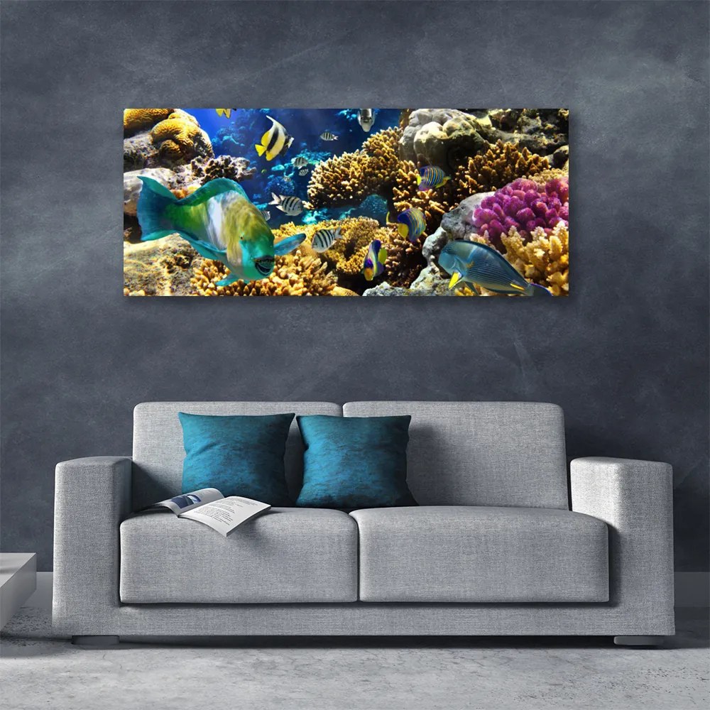 Obraz canvas na ścianę Kolorowe Życie Rafy Koralowej