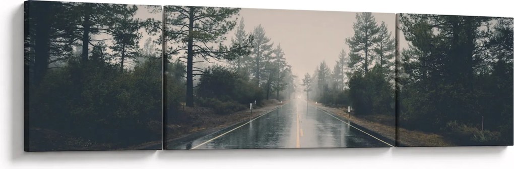 Obraz drogi w deszczu (170x50 cm)