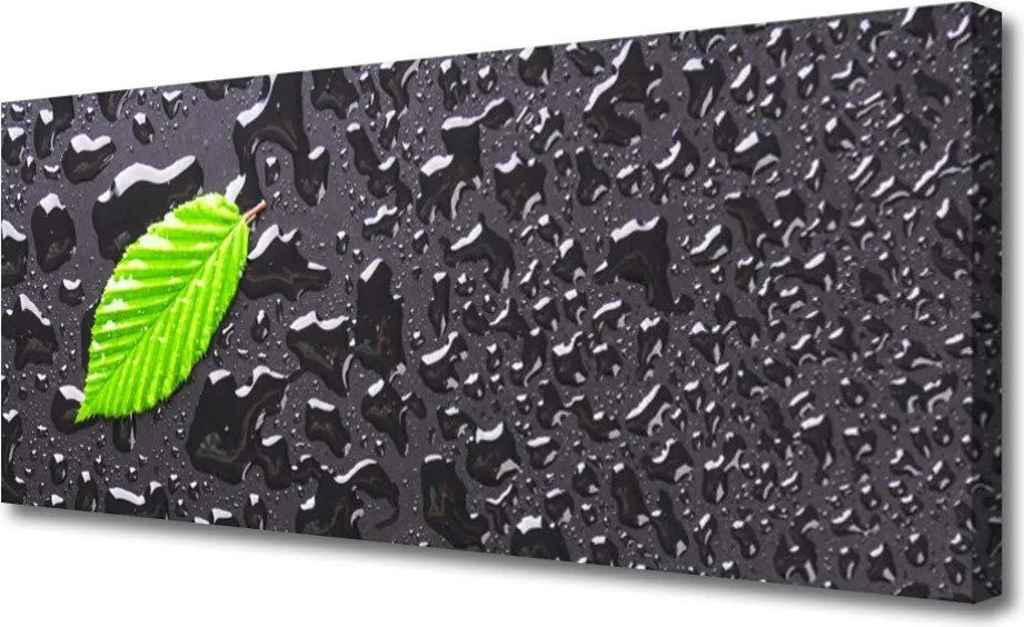 Fotoobraz na płótnie Rosa na Młodym Liściu