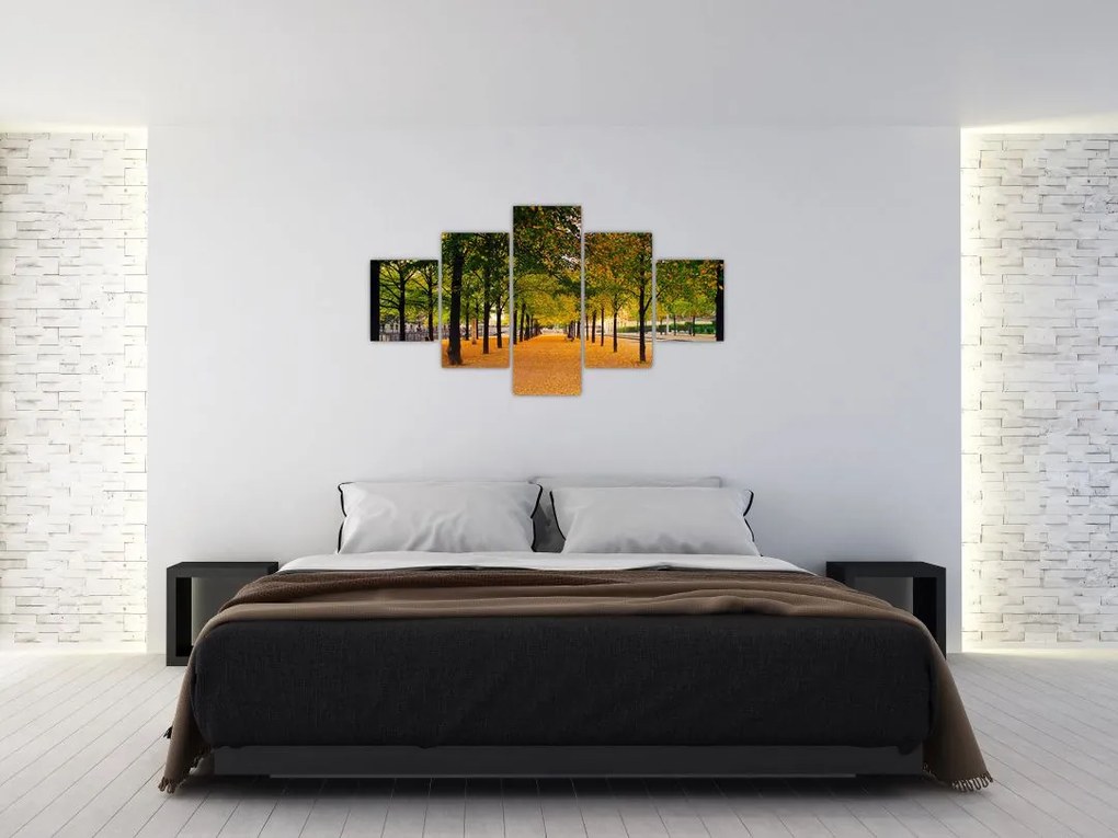 Obraz alei jesiennych drzew (125x70 cm)