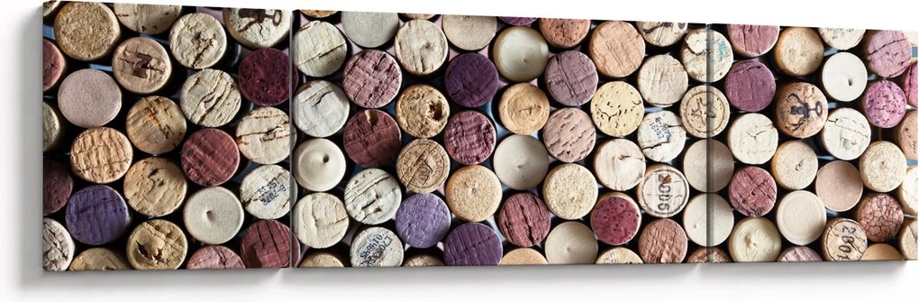 Obraz - Sezon na wino (170x50 cm)