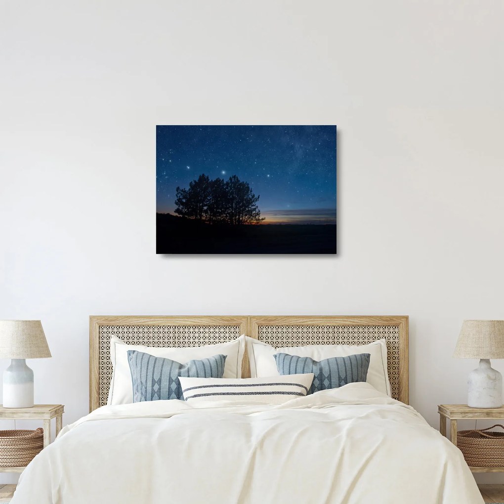 Obraz na szkle drzew w nocy (70x50 cm)